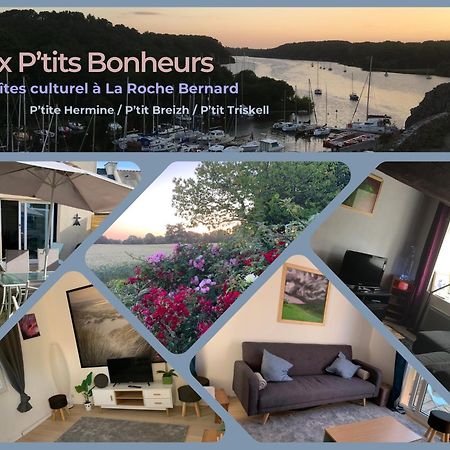 Aux Petits Bonheurs, Gites Culturel A La Roche Bernard Ferel Экстерьер фото
